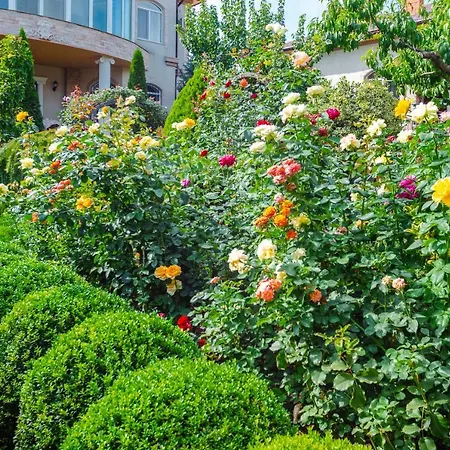 Hotel бутик-отель аркадиевский 4*